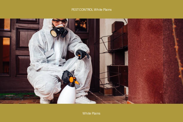 PEST CONTROL White Plains